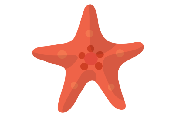Starfish Color Icon: Infusing Projects with Vibrant Red Sea Style