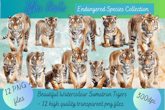 Watercolour Sumatran Tigers: Art with a Cause